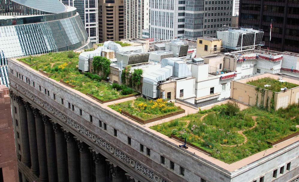 Les toits-jardins, un nouveau type d’espaces verts urbain school playground diagram 
